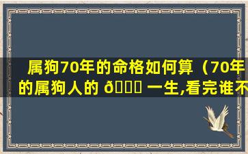 属狗70年的命格如何算（70年的属狗人的 🐟 一生,看完谁不 🐱 说准）